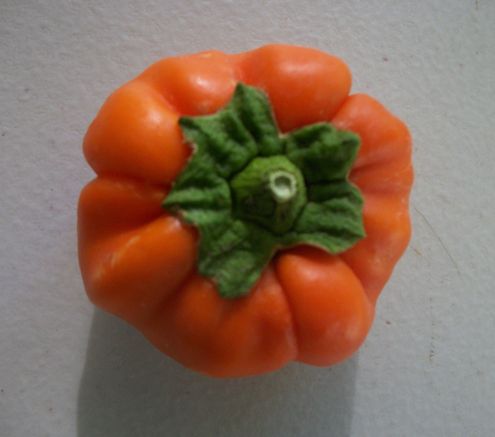 pepper pumpk.jpg